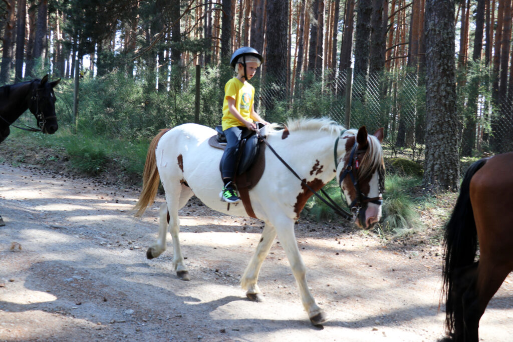 Alumno de Casvi International American School en el Casvi Camp Naturaleza