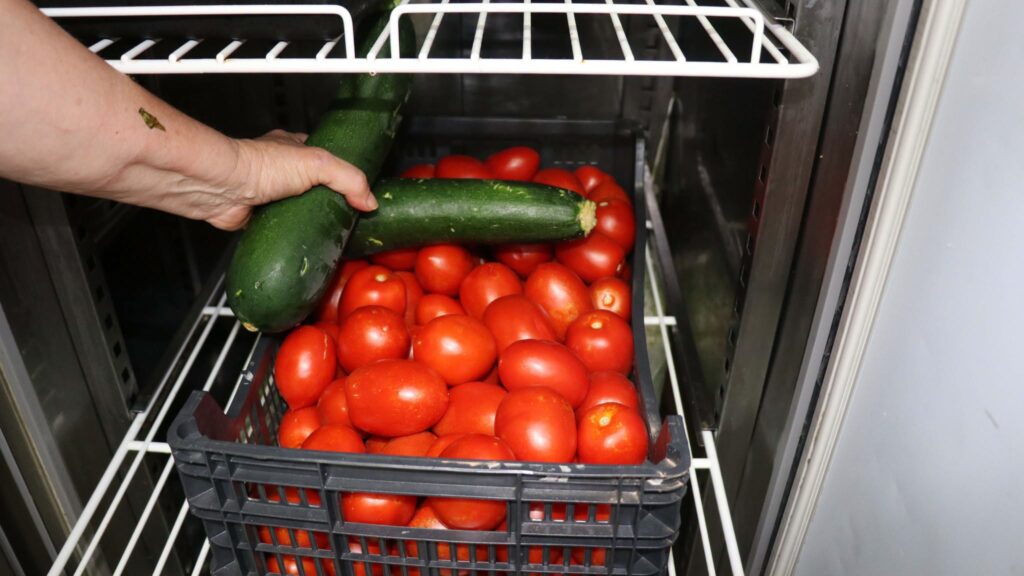 Verduras frescas en Casvi Camp